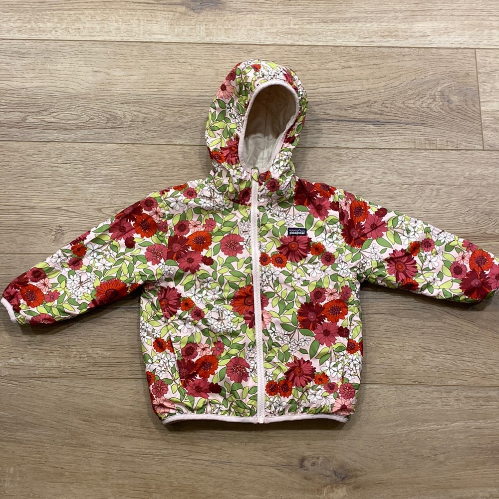 Patagonia reversible down sweater hoody
